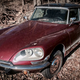 Illustration for article titled You Can Save This Extremely Cheap Citroën DS From Rusting In The Woods